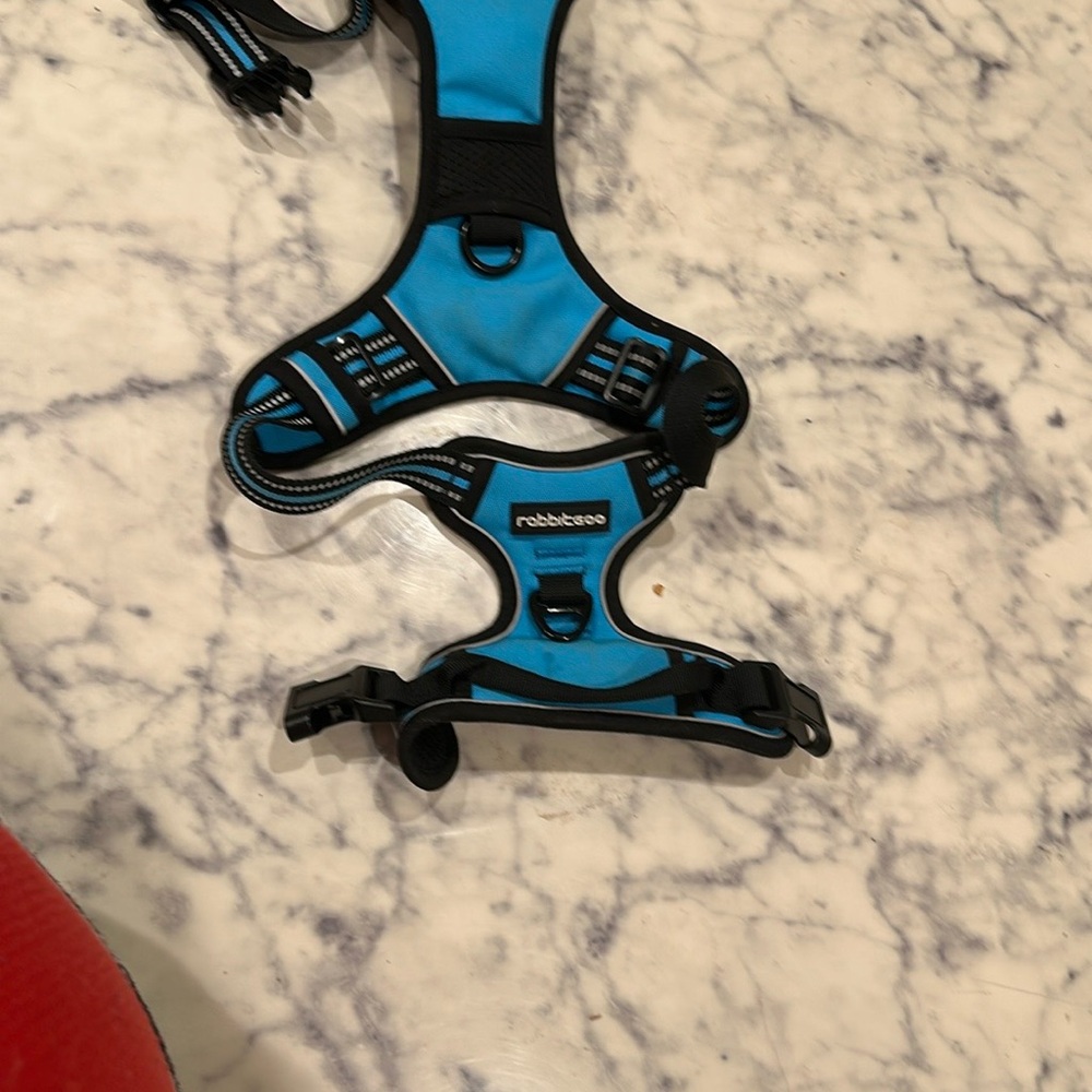 RobbiBee Blue and Black Harness